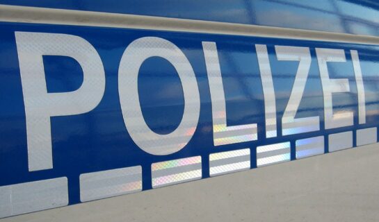 Bezeichnung von Polizisten als „crazy“ eine Beleidigung?